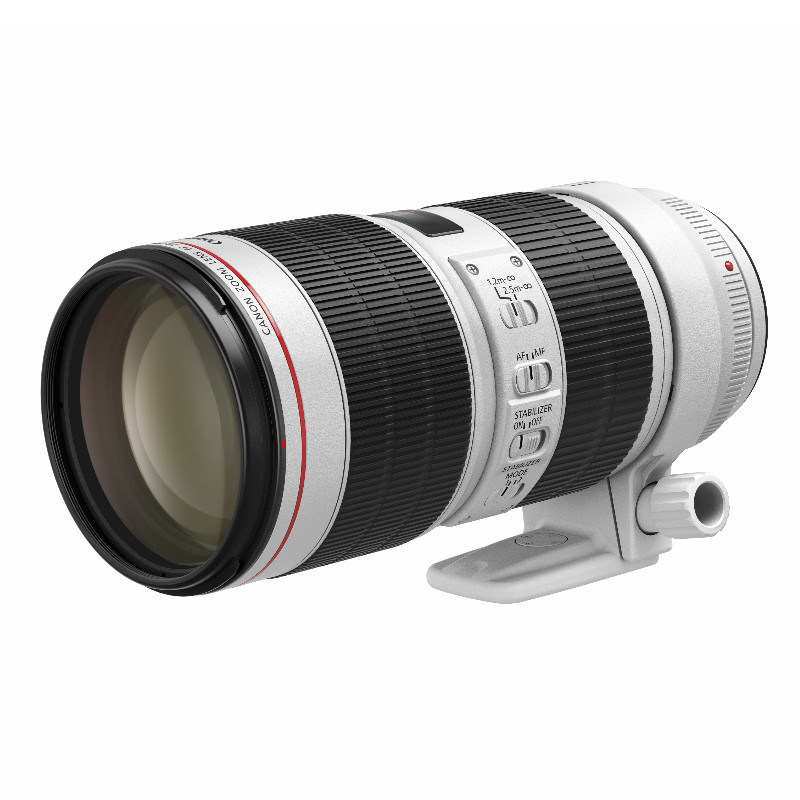 佳能（Canon）EF 28-300mm f/3.5-5.6L IS USM 单反镜头 远摄变焦镜头