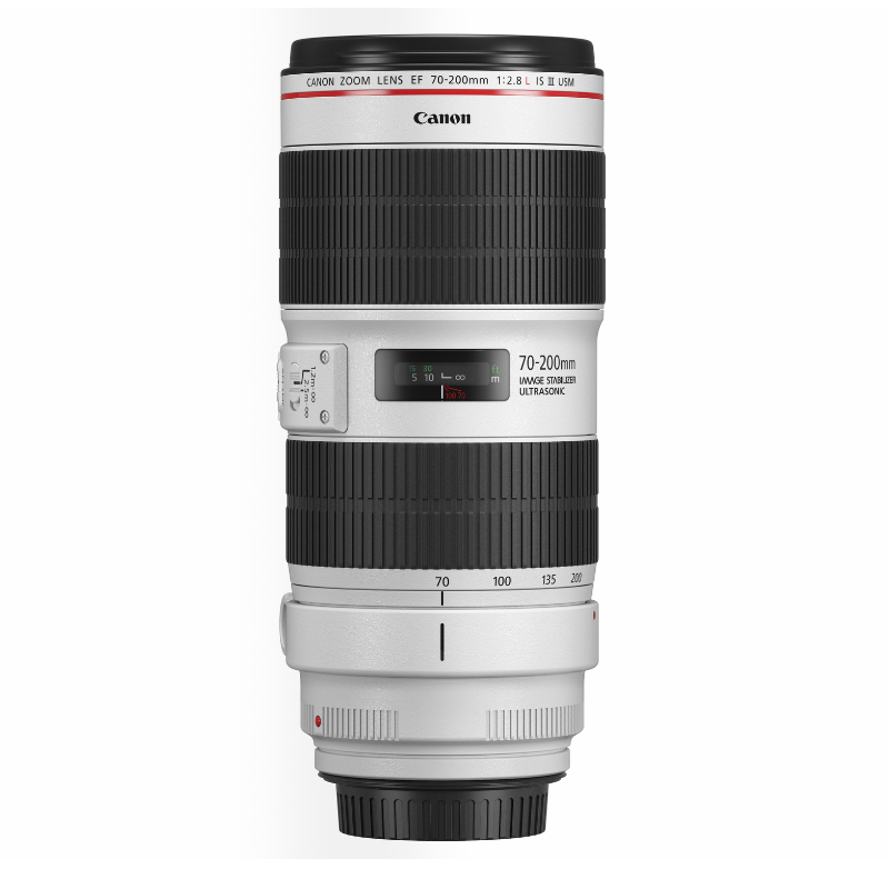 佳能（Canon）EF 100-400mm f/4.5-5.6L IS II USM 单反镜头 远摄变焦镜头