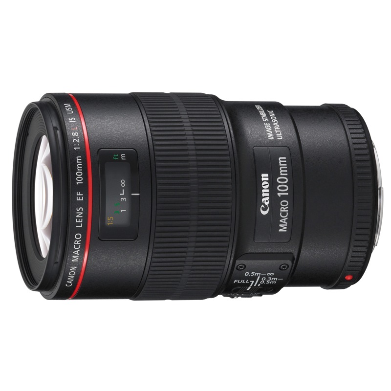 佳能（Canon）EF 100mm f/2.8L IS USM 单反相机/微距镜头