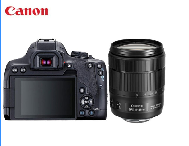 佳能（Canon） EOS 850D 单反相机照相机+ 18-55mm IS STM镜头+ 64G高速卡+相机包套餐