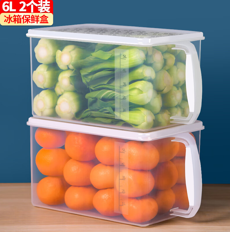 禧天龙冰箱保鲜盒食品级冰箱收纳盒密封盒蔬菜水果冷冻盒大号 6L 2个