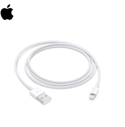 苹果 iPad 数据线 lighting USB 连接线(1米)原装