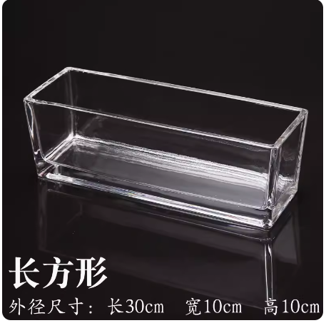 美厨 加厚透明玻璃长方形水培绿植花盆 30*10*10cm (单位：个）
